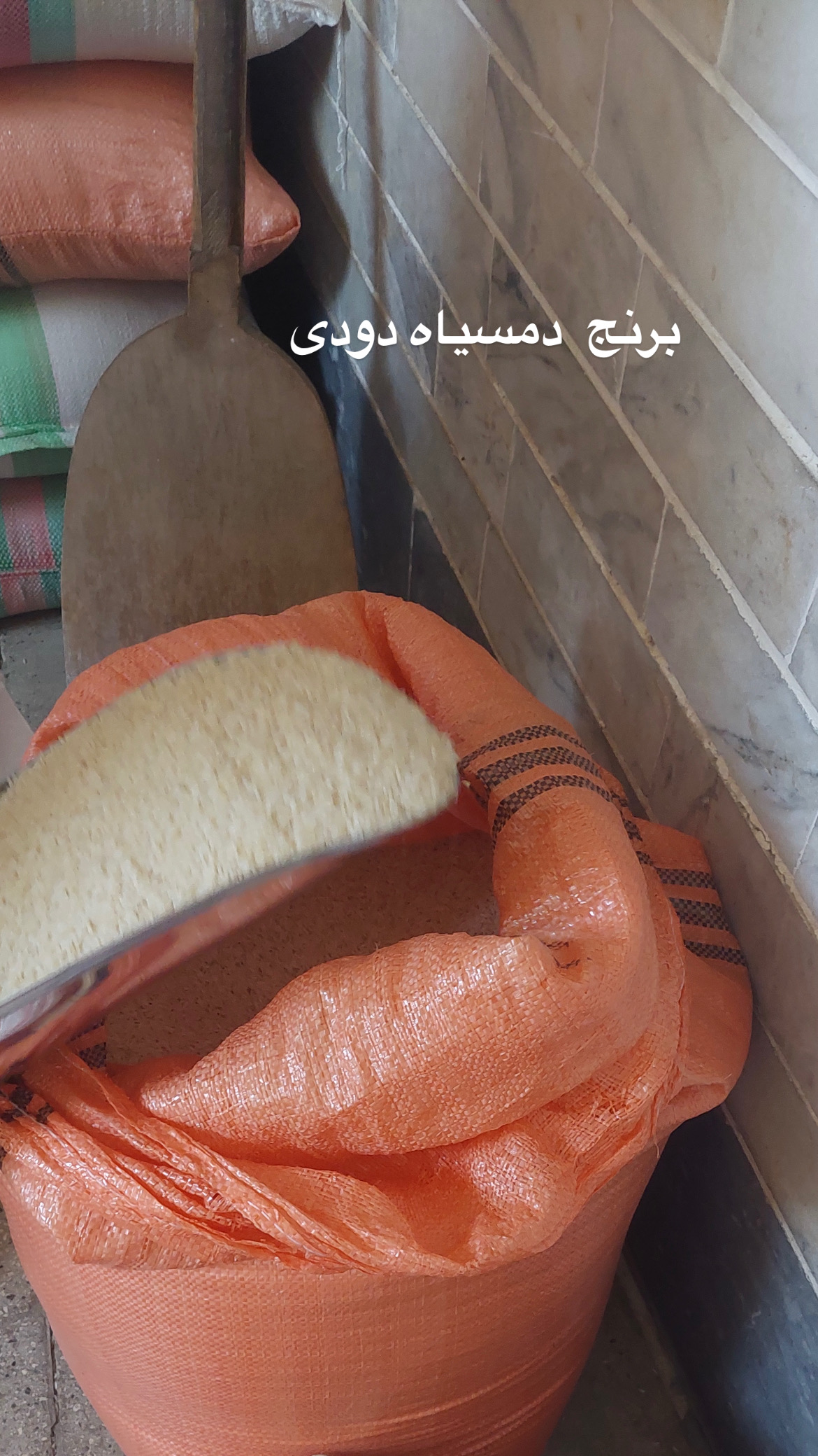 برنج دمسیاه دودی بدون واسطه از شالیزارهای مرغوب گیلان